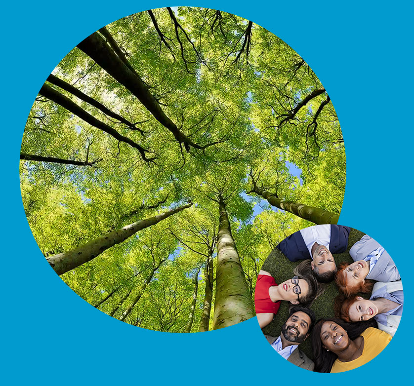 Our choices for a sustainable future